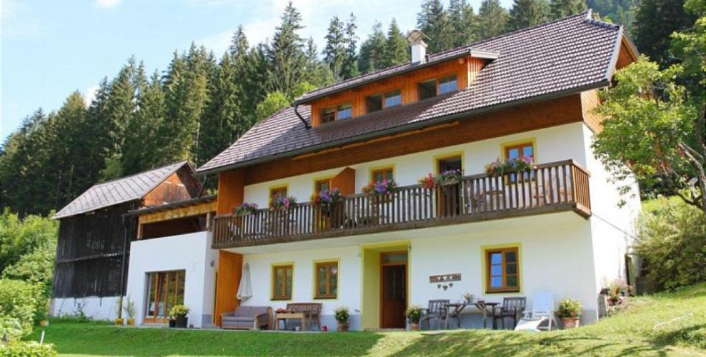 Bauernhof Wieser Sommer